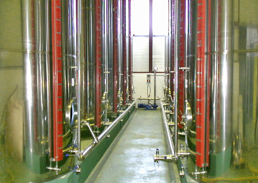 bodega de aceite en la almazara