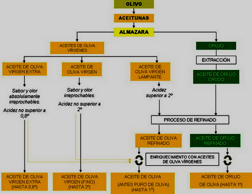 esquema de tipos de aceites